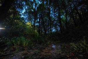 BIB: 
                            <button type="button" onclick="openModal(19234127)" class="btn btn-primary btn-sm float-right btn-popup" data-toggle="modal" data-target=".modal-high-quality">
                        <i class="fas fa-shopping-cart"></i> Add to Cart
                    </button>
                                            <button type="button" onclick="isThisMe(19234127, true)" class="btn btn-success btn-sm float-right btn-popup btn-isme hidden" data-toggle="tooltip" data-placement="bottom" title="นี่คือรูปของคุณใช่ไหม คลิกที่นี่เพื่อเอาเข้าอัลบั้ม">
                        <i class="fas fa-plus"></i> Add to album
                    </button>
                    <button type="button" onclick="isThisMe(19234127, false)" class="btn btn-warning btn-sm float-right btn-popup btn-isnotme hidden">
                        <i class="fas fa-ban"></i> Remove from album
                    </button>